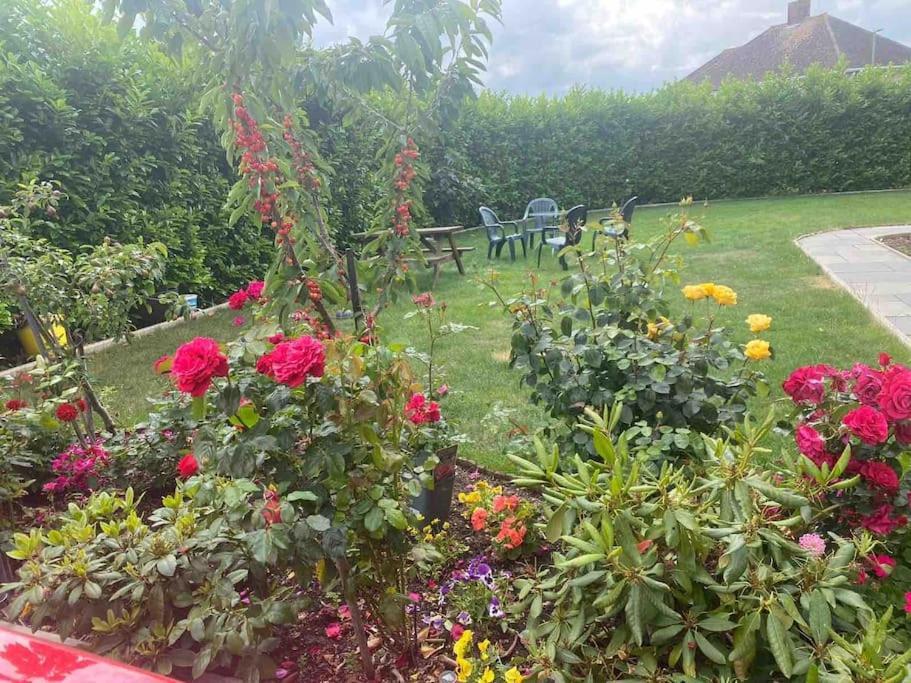 Lovely 1 Bed Studio Apartment With Free Parking Oxford Buitenkant foto