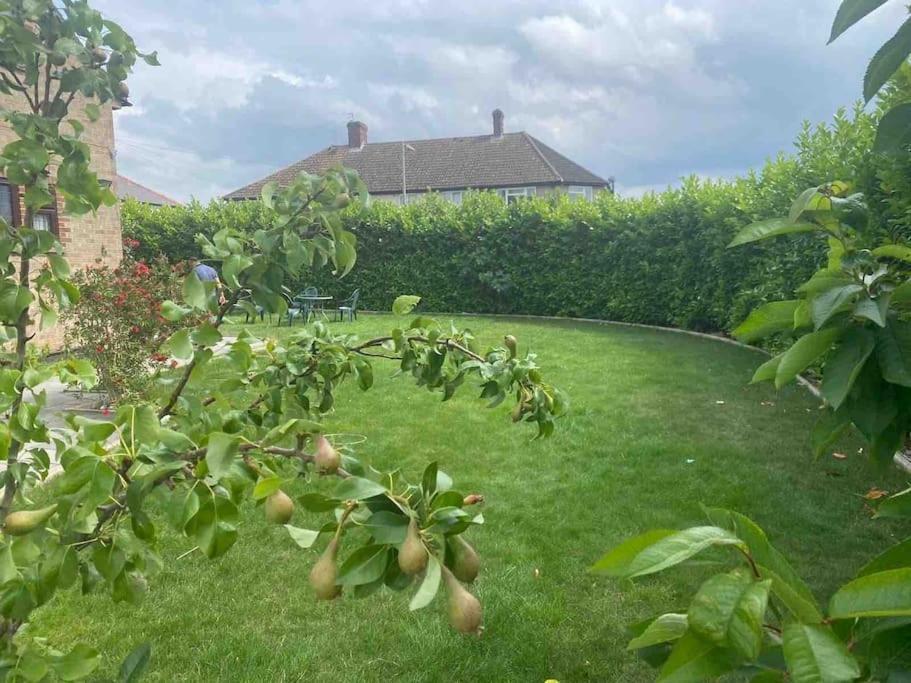 Lovely 1 Bed Studio Apartment With Free Parking Oxford Buitenkant foto